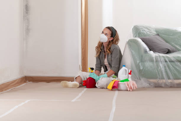 Reliable Basement Mold Removal contractor in Port Jefferson, NY by Cheap Mold Removal